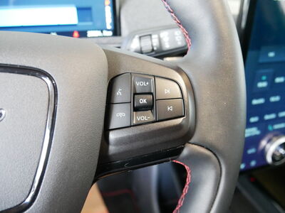 Ford Mustang Mach-E Gebrauchtwagen Ford Mustang Mach-E Gebrauchtwagen