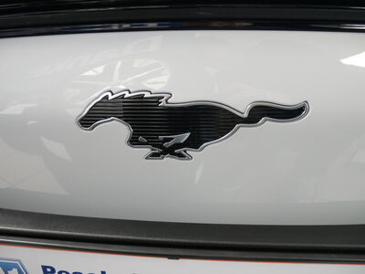 Ford Mustang Mach-E Gebrauchtwagen Ford Mustang Mach-E Gebrauchtwagen