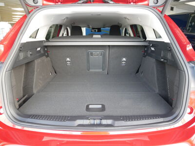 Ford Focus Neuwagen Ford Focus Neuwagen