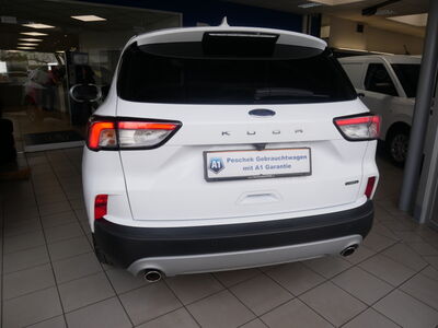 Ford Kuga Gebrauchtwagen