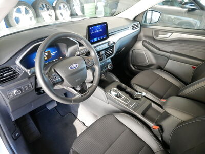 Ford Kuga Gebrauchtwagen