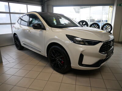 Ford Kuga Vorführwagen
