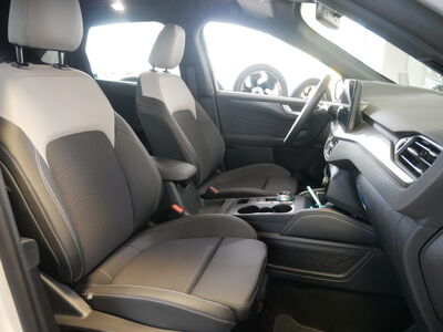 Ford Kuga Vorführwagen