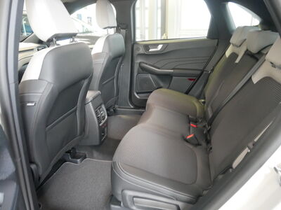 Ford Kuga Vorführwagen