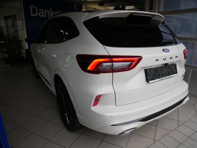 Ford Kuga Vorführwagen