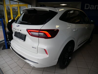 Ford Kuga Vorführwagen