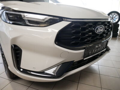Ford Kuga Vorführwagen