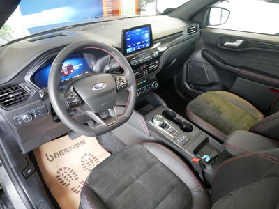Ford Kuga Gebrauchtwagen