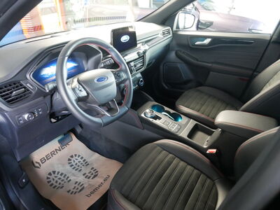 Ford Kuga Gebrauchtwagen Ford Kuga Gebrauchtwagen