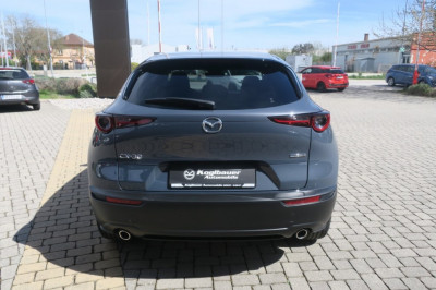 Mazda CX-30 Tageszulassung