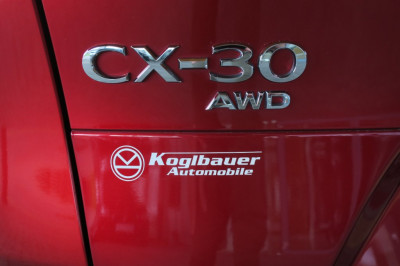 Mazda CX-30 Gebrauchtwagen Mazda CX-30 Gebrauchtwagen