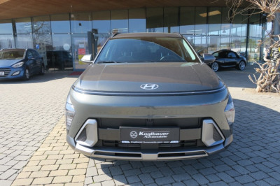 Hyundai Kona Tageszulassung