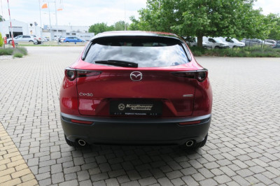 Mazda CX-30 Tageszulassung Mazda CX-30 Tageszulassung