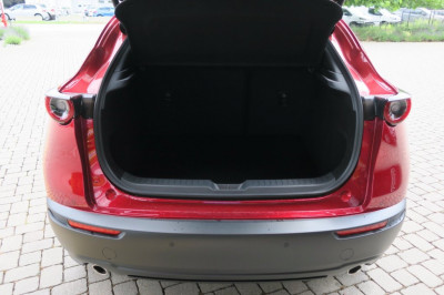 Mazda CX-30 Tageszulassung Mazda CX-30 Tageszulassung
