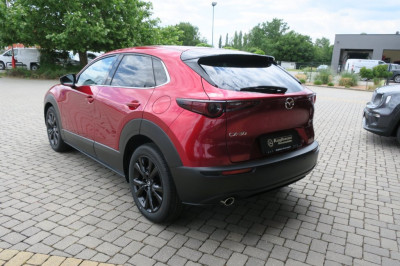 Mazda CX-30 Tageszulassung Mazda CX-30 Tageszulassung
