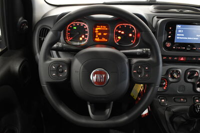 Fiat Panda Tageszulassung