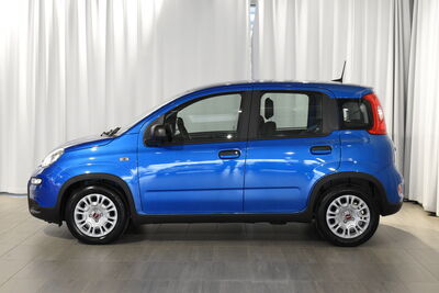 Fiat Panda Tageszulassung