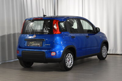 Fiat Panda Tageszulassung