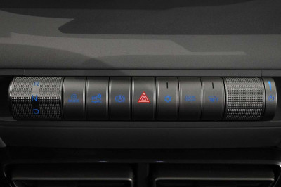 BYD Dolphin Surf Neuwagen