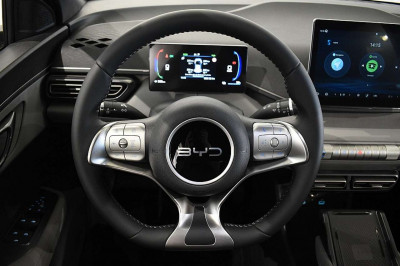 BYD Dolphin Surf Neuwagen