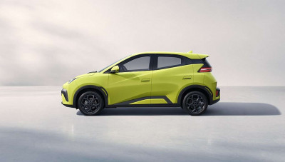 BYD Dolphin Surf Neuwagen