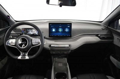 BYD Dolphin Surf Neuwagen