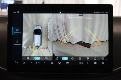 BYD Dolphin Surf Neuwagen