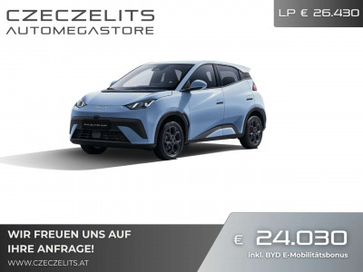 BYD Dolphin Surf Neuwagen