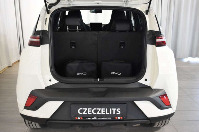 BYD Dolphin Surf Neuwagen