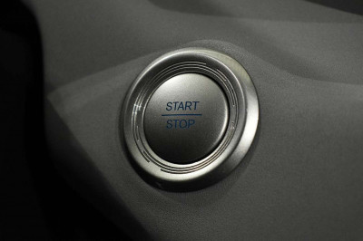 BYD Dolphin Surf Neuwagen