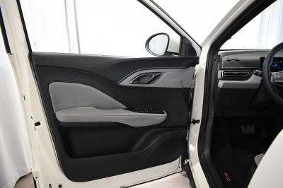 BYD Dolphin Surf Neuwagen