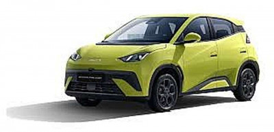 BYD Dolphin Surf Neuwagen