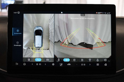 BYD Dolphin Surf Neuwagen