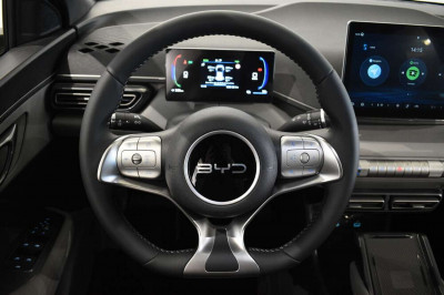 BYD Dolphin Surf Neuwagen