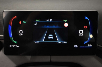 BYD Dolphin Surf Neuwagen