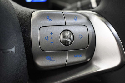 BYD Dolphin Surf Neuwagen