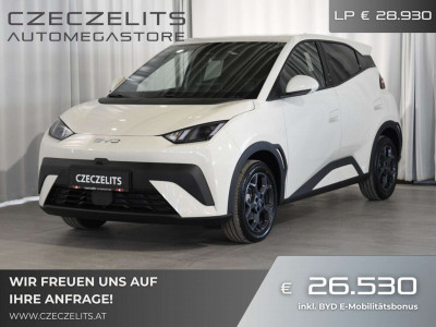 BYD Dolphin Surf Neuwagen