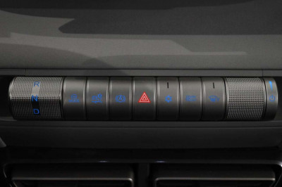 BYD Dolphin Surf Neuwagen