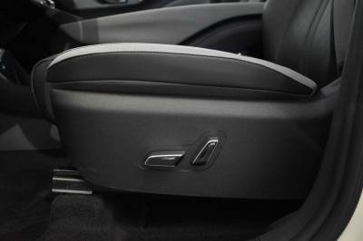 BYD Dolphin Surf Neuwagen