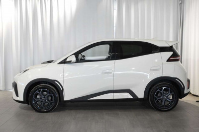 BYD Dolphin Surf Neuwagen