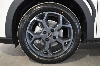 BYD Dolphin Surf Neuwagen