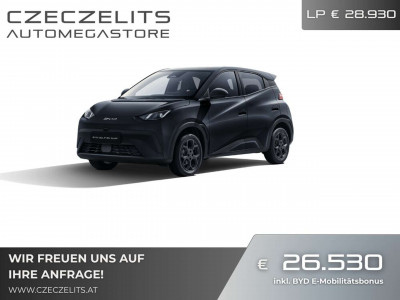 BYD Dolphin Surf Neuwagen