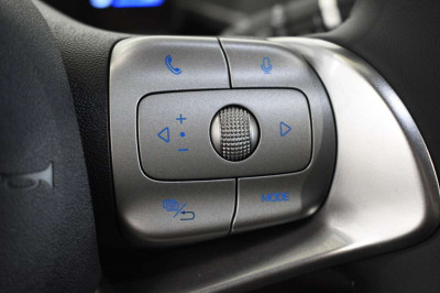 BYD Dolphin Surf Neuwagen