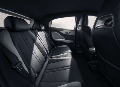 BYD Dolphin Surf Neuwagen