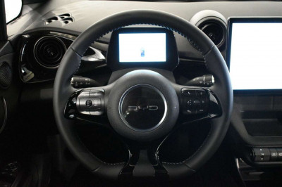 BYD Dolphin Neuwagen