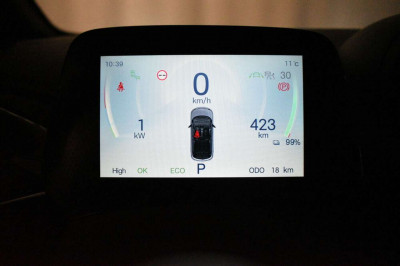 BYD Dolphin Neuwagen