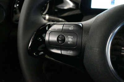 BYD Dolphin Neuwagen