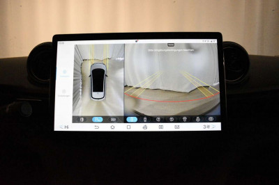 BYD Dolphin Neuwagen