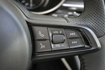 Alfa Romeo Stelvio Vorführwagen