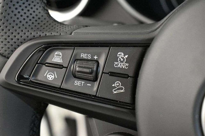 Alfa Romeo Stelvio Vorführwagen